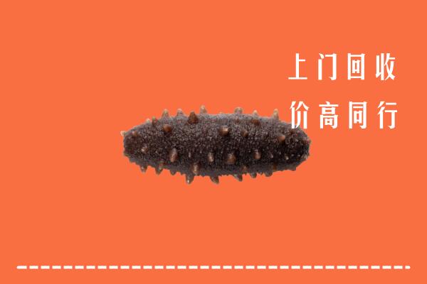 高价求购：邢台宁晋回收海参
