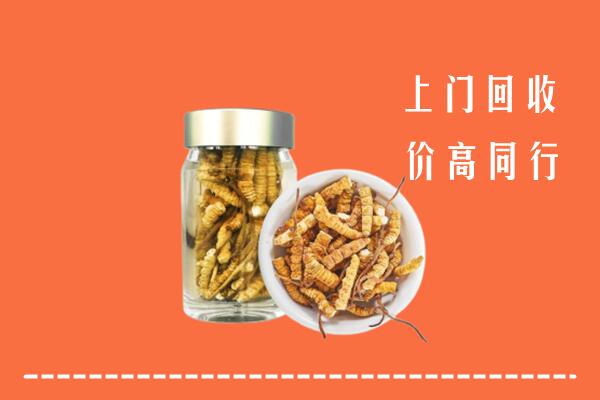 邢台宁晋回收冬虫夏草